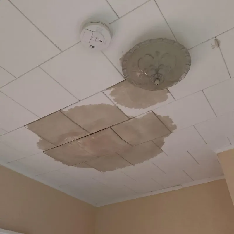 Ceiling Water Damage Repair in Combine, TX