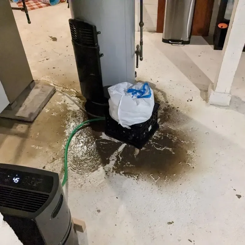 Sewage Backup Cleanup Service in Combine, TX
